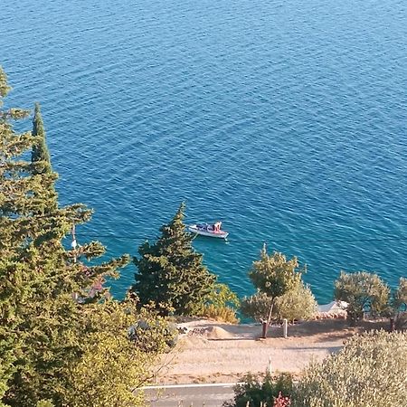 Apartment Mate Starigrad Paklenica Zewnętrze zdjęcie